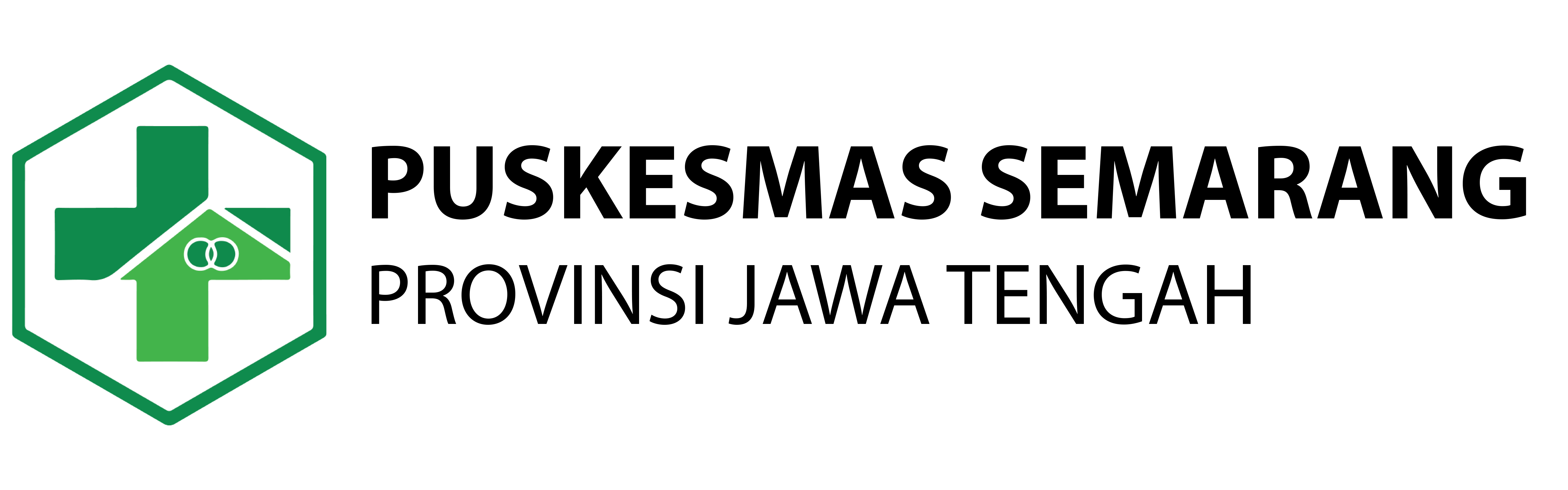 Logo Puskesmas